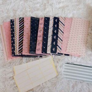 Cash Budget Envelope Set